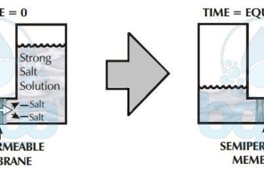 osmosis process water pass through semi permeable membrane from lower salt concentration to higher concentration