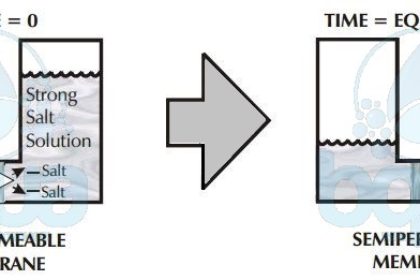 osmosis process water pass through semi permeable membrane from lower salt concentration to higher concentration