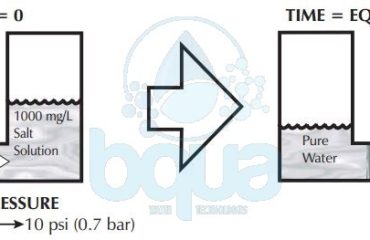 osmotic pressure is what makes osmosis process occurs
