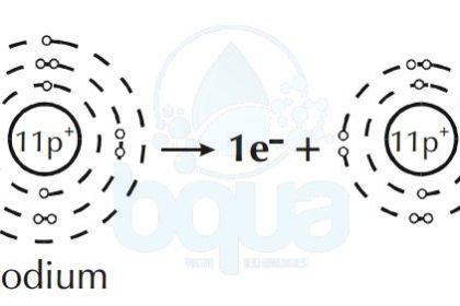 Sodium atom loses one electron become Soduim positive ion cation