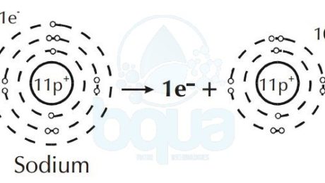 Sodium atom loses one electron become Soduim positive ion cation