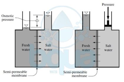 reverse osmosis definition meaning example