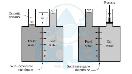 reverse osmosis definition meaning example